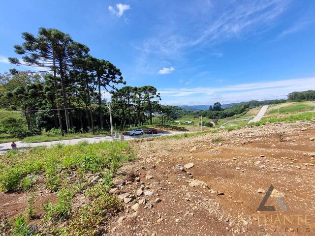 Terreno para Venda em Caxias do Sul - 4
