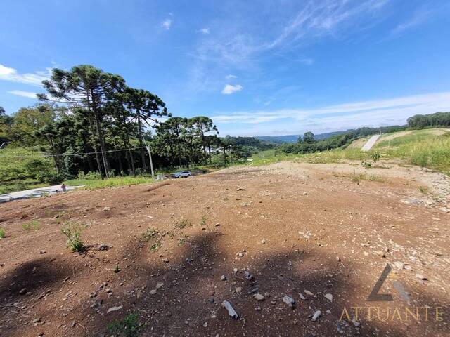 Terreno para Venda em Caxias do Sul - 2