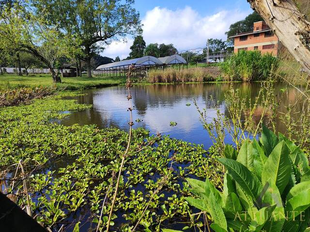 Venda em Ana Rech - Caxias do Sul