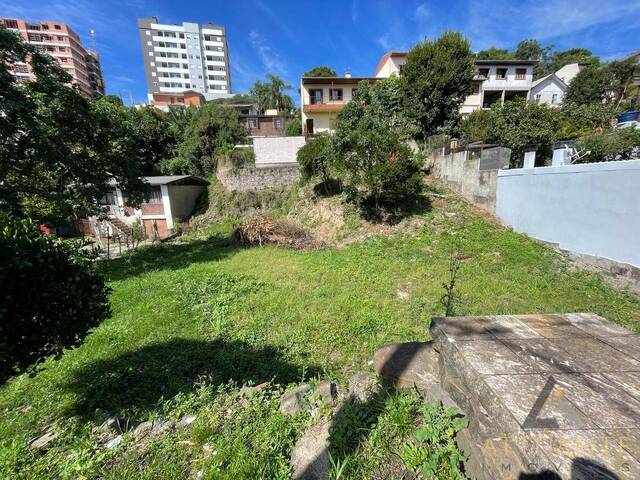 Terreno para Venda em Caxias do Sul - 4