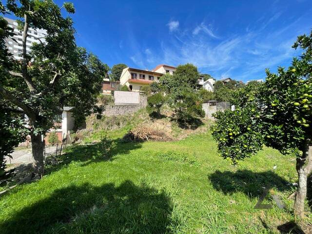 Terreno para Venda em Caxias do Sul - 5