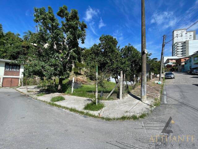 Venda em Rio Branco - Caxias do Sul