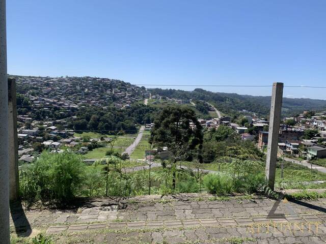 Venda em Nossa Senhora das Graças - Caxias do Sul