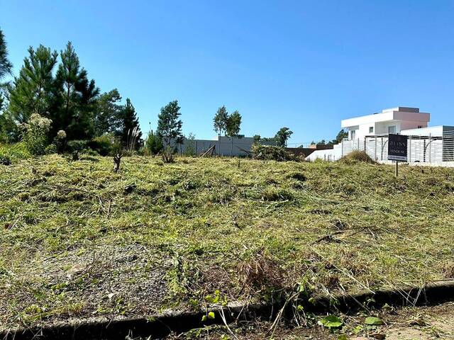 Terreno para Venda em Caxias do Sul - 2