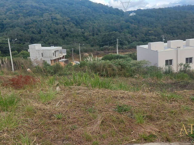 Terreno para Venda em Caxias do Sul - 4
