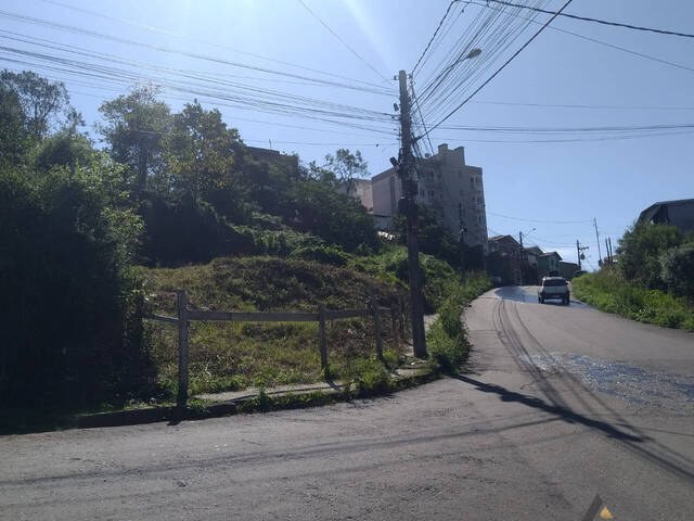 #TR3760 - Área para Venda em Caxias do Sul - RS - 1