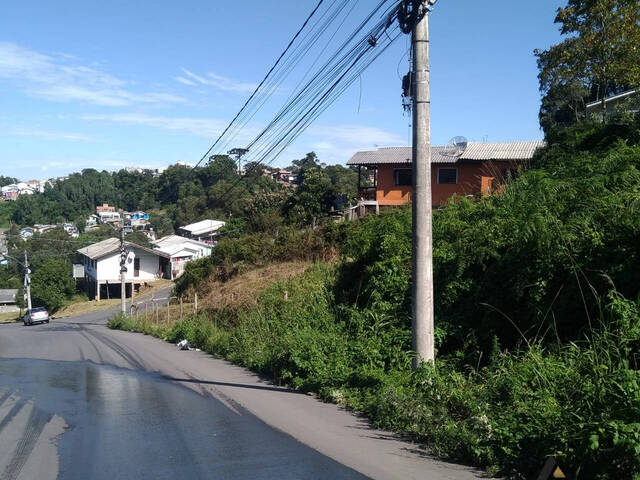 #TR3760 - Área para Venda em Caxias do Sul - RS - 3