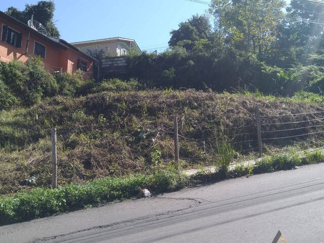 Terreno para Venda em Caxias do Sul - 5