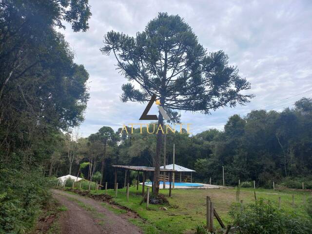 #CH3783 - Chácara para Venda em São Marcos - RS - 1