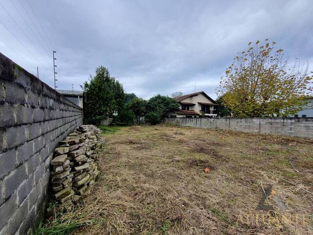 #TR3823 - Terreno para Venda em Caxias do Sul - RS - 3