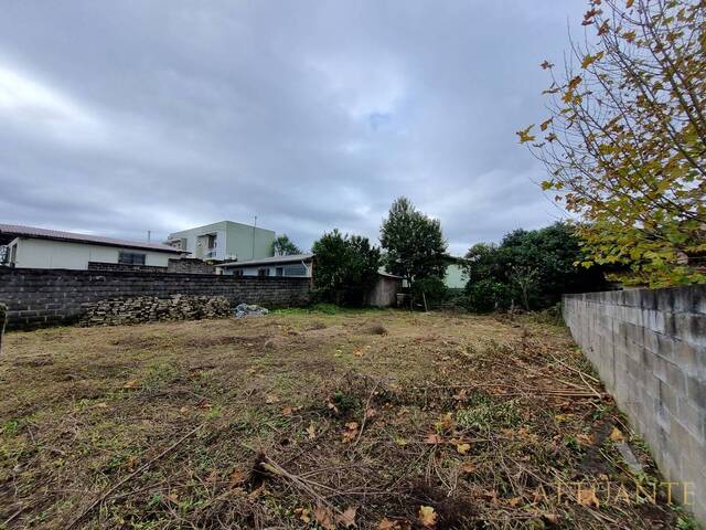Terreno para Venda em Caxias do Sul - 4