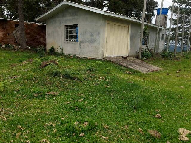 Chácara para Venda em Caxias do Sul - 5