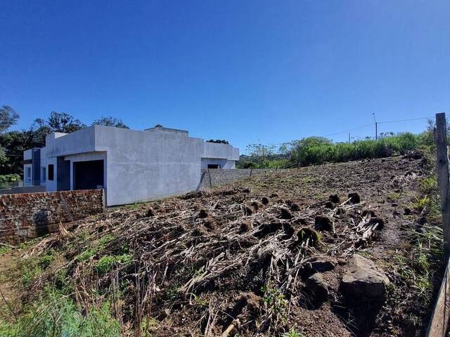 Terreno para Venda em Caxias do Sul - 5