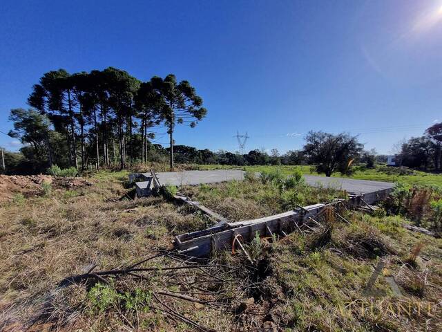 #TR3964 - Terreno para Venda em Caxias do Sul - RS - 3