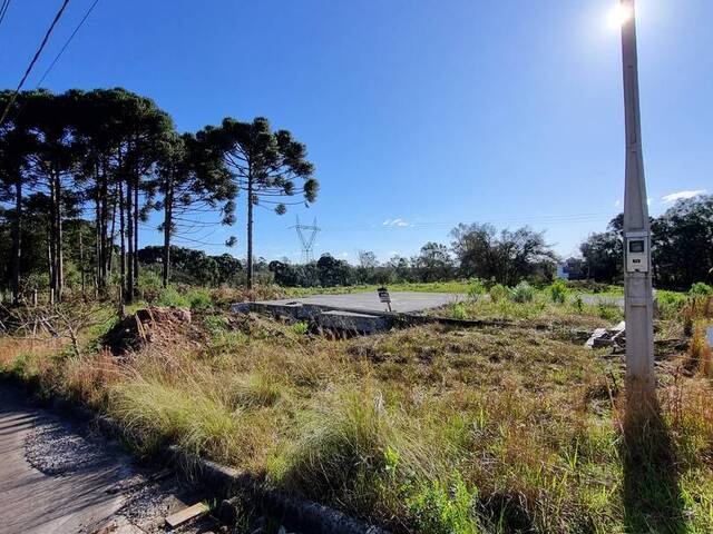 Terreno para Venda em Caxias do Sul - 4