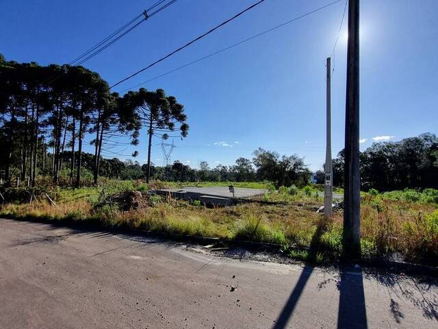 Terreno para Venda em Caxias do Sul - 5