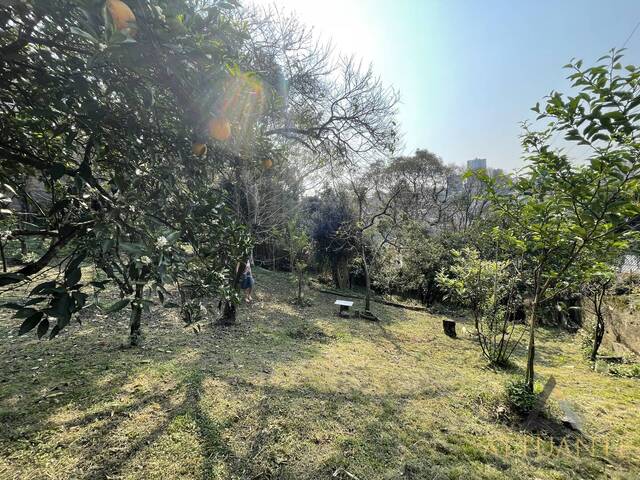 Terreno para Venda em Caxias do Sul - 5