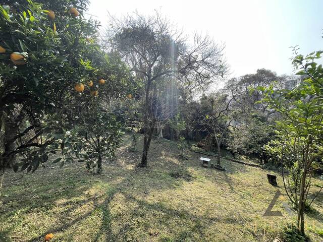 #TR3979 - Terreno para Venda em Caxias do Sul - RS - 2