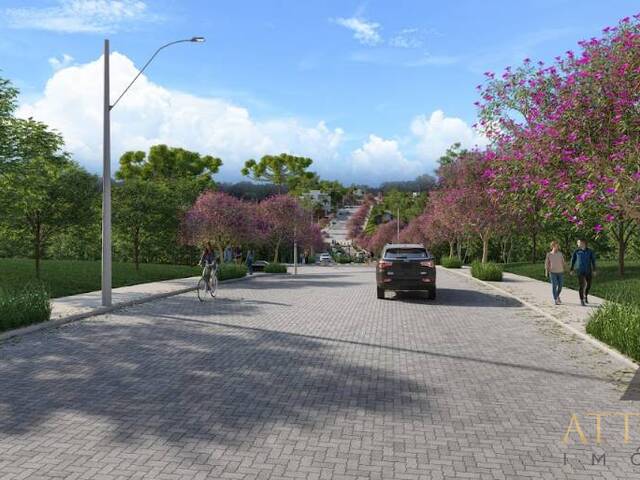 Terreno para Venda em Flores da Cunha - 4