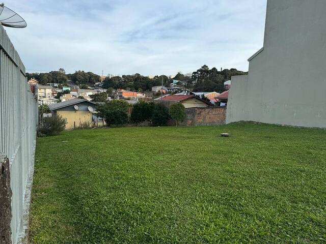 Terreno para Venda em Caxias do Sul - 4