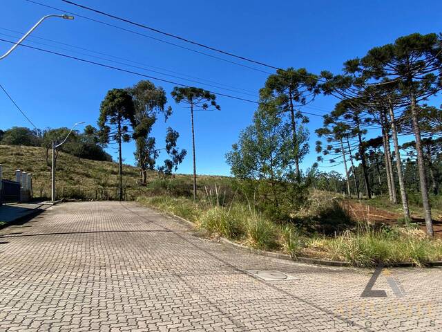 #TR4018 - Área para Venda em Caxias do Sul - RS - 2