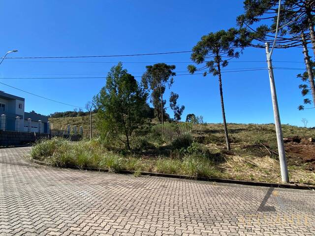 Terreno para Venda em Caxias do Sul - 5