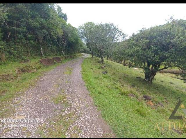 #CH4037 - Chácara para Venda em Caxias do Sul - RS - 2