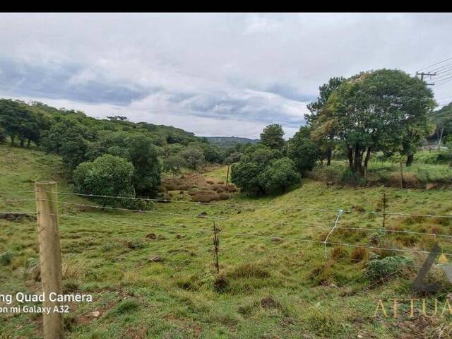 Chácara para Venda em Caxias do Sul - 5