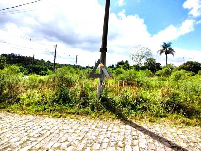 Terreno para Venda em Caxias do Sul - 4