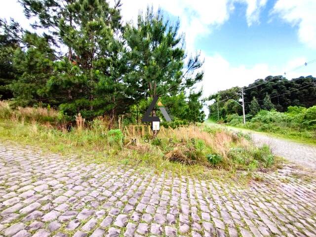 Terreno para Venda em Caxias do Sul - 4