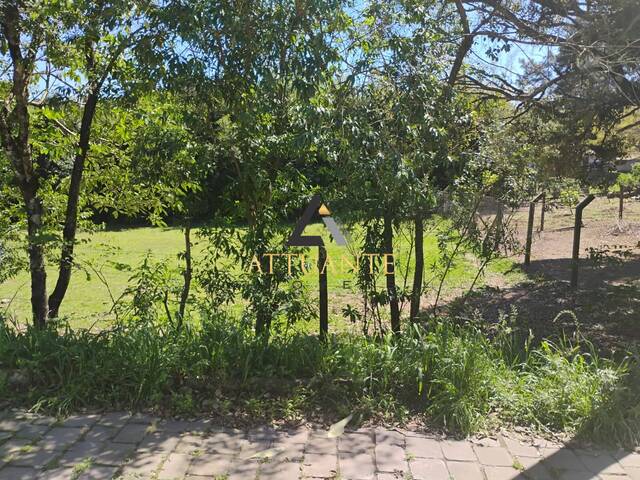 Terreno para Venda em Caxias do Sul - 5