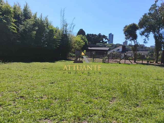 #TR4084 - Terreno para Venda em Caxias do Sul - RS - 3
