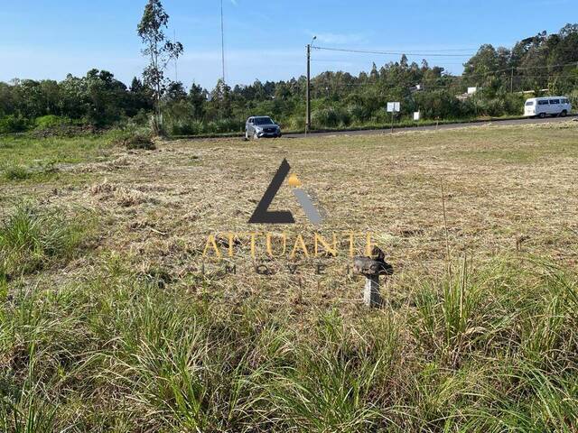 Terreno para Venda em Caxias do Sul - 4