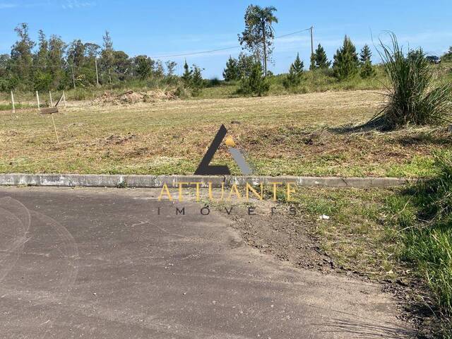 Terreno para Venda em Caxias do Sul - 5