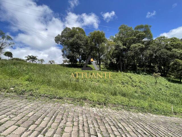 Terreno para Venda em Caxias do Sul - 4