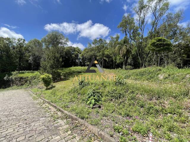 Terreno para Venda em Caxias do Sul - 5