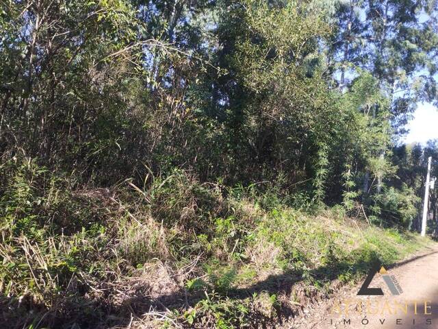 Chácara para Venda em Caxias do Sul - 5
