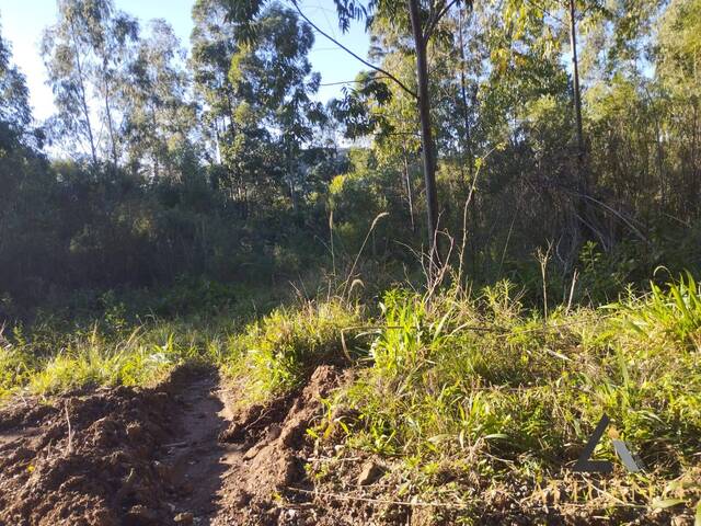 Chácara para Venda em Caxias do Sul - 4