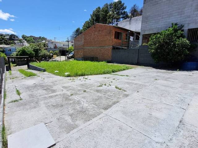 Casa para Venda em Caxias do Sul - 2