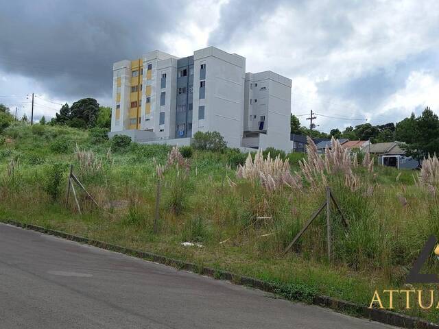 #TR4116 - Terreno para Venda em Caxias do Sul - RS - 3