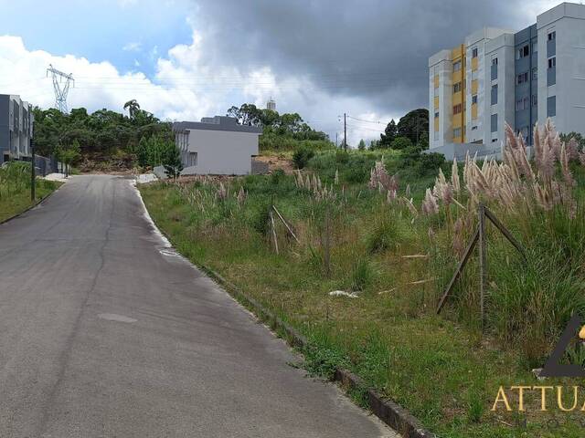 Terreno para Venda em Caxias do Sul - 4