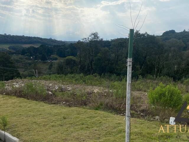 #TR4124 - Área para Venda em Caxias do Sul - RS - 3