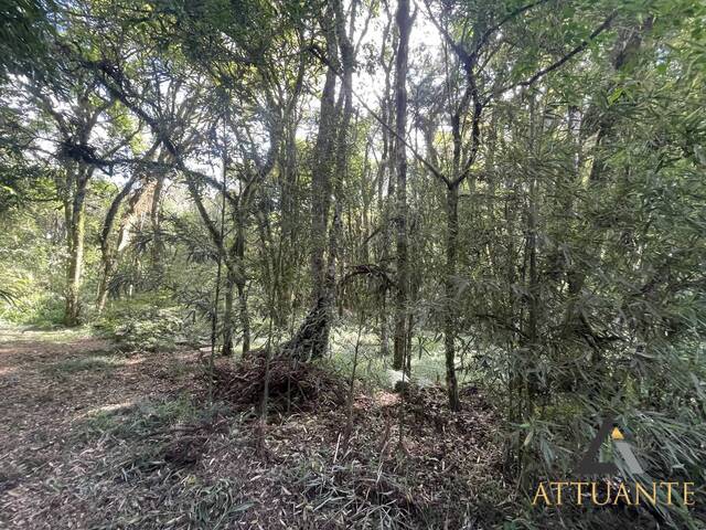#TR4135 - Terreno para Venda em Caxias do Sul - RS - 1