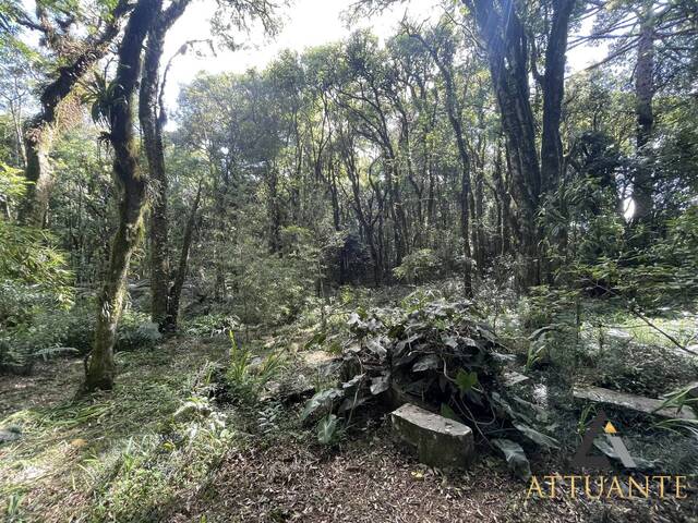 #TR4135 - Terreno para Venda em Caxias do Sul - RS - 3