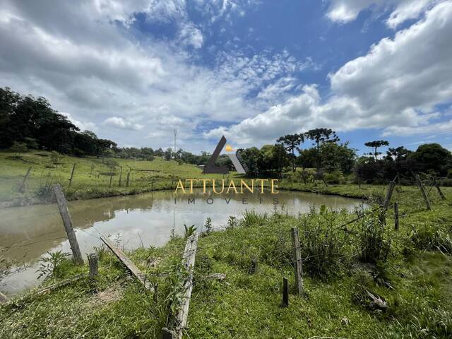 Chácara para Venda em Flores da Cunha - 4