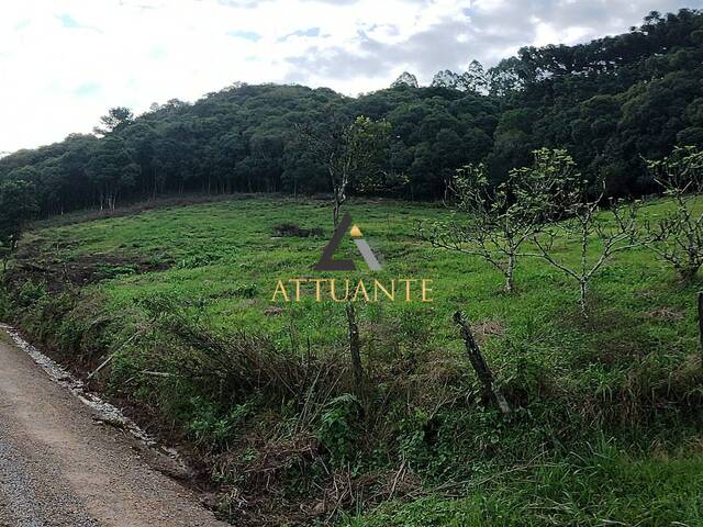 Chácara para Venda em Caxias do Sul - 5
