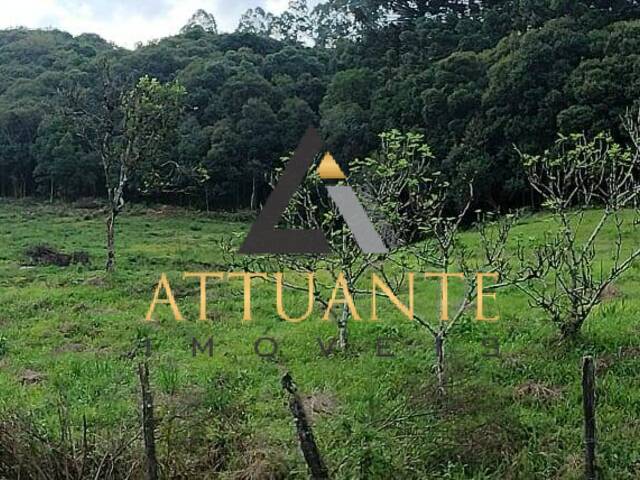 Chácara para Venda em Caxias do Sul - 4
