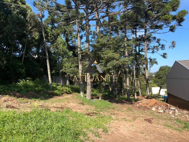 Terreno para Venda em Caxias do Sul - 4