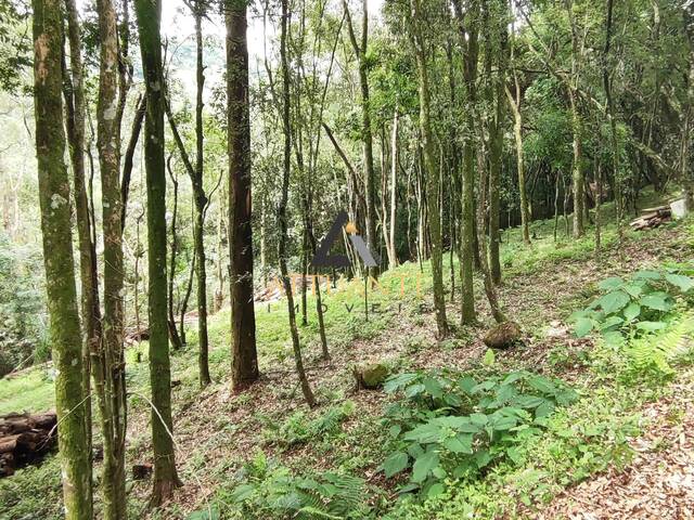#TR4207 - Área para Venda em Caxias do Sul - RS - 2