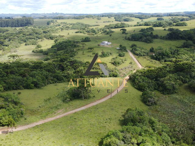 #CH4227 - Chácara para Venda em Caxias do Sul - RS - 3